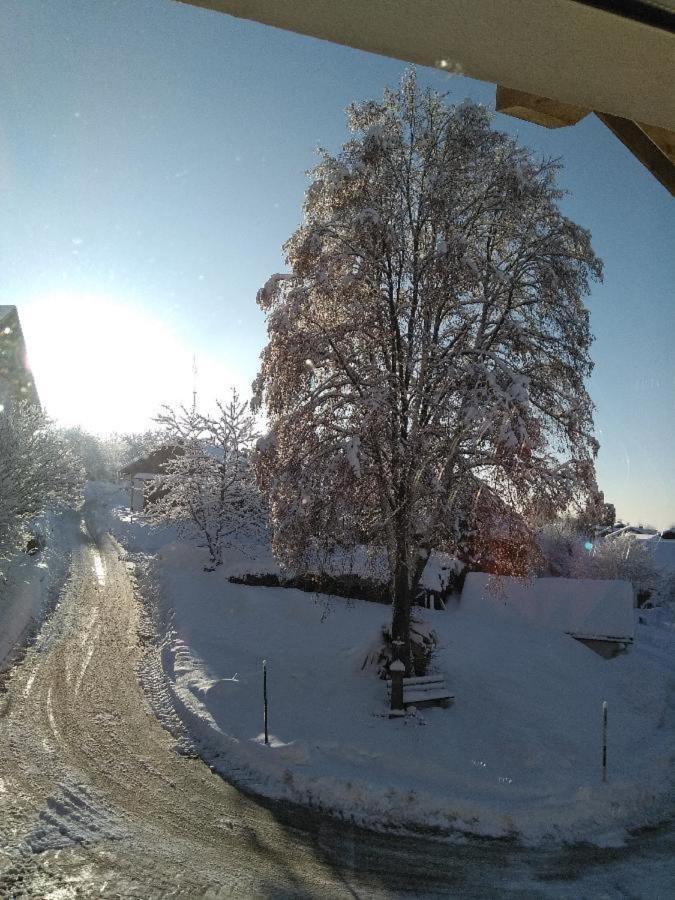 Ferienwohnung Pietzavka Wiesenfelden Екстер'єр фото